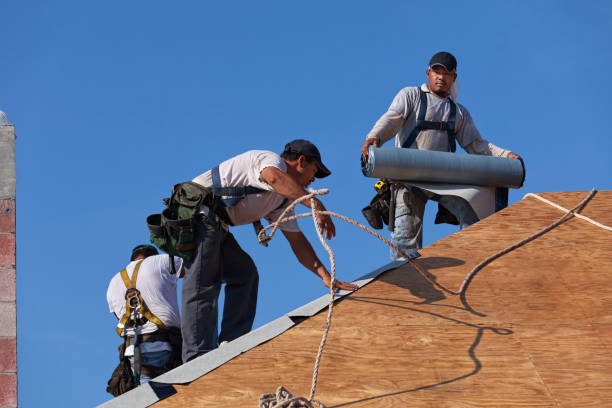 Best Roof Gutter Cleaning  in Leoti, KS