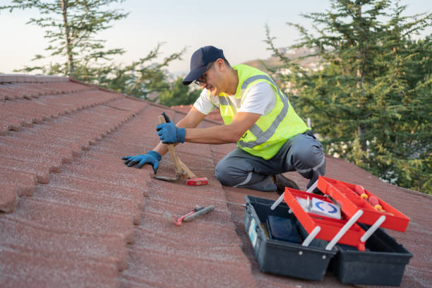Best Roof Leak Repair  in Leoti, KS